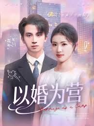 以婚为营