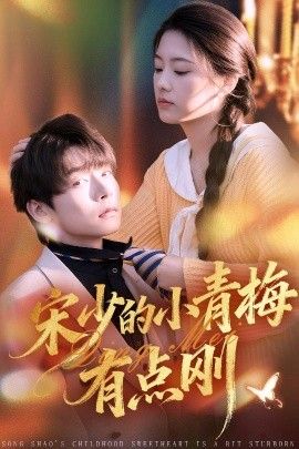 宋少的小青梅有点刚