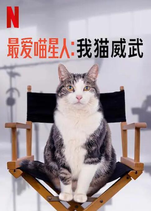 最爱喵星人:我猫威武